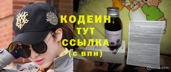 хмурый Арсеньев
